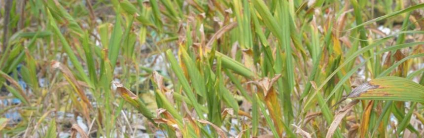 Parship ou Elite Rencontre pour faire des rencontres par affinités ?